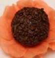 /album/fotogaleria-nossos/brigadeiro-com-flocos-de-chocolate-jpg/
